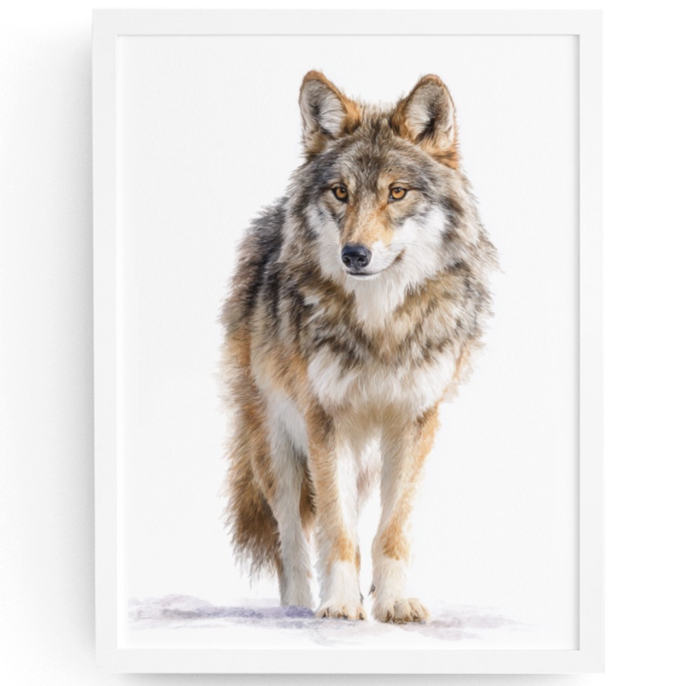 Watercolor Wolf with Mystical Aura Portrait Wall Art Print Poster, Unframed